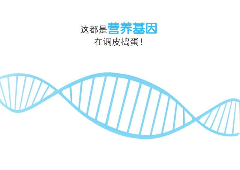 营养基因检测详情页三修改.png